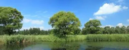 綠色產(chǎn)品認(rèn)證，人造板、衛(wèi)生陶瓷、家具、建材、快遞包裝等認(rèn)證